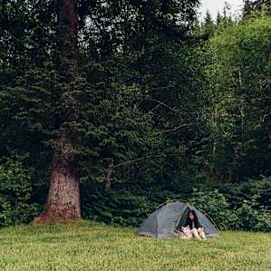 tent forest people