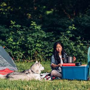 tent people dog