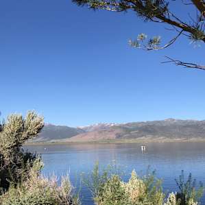 Site 5