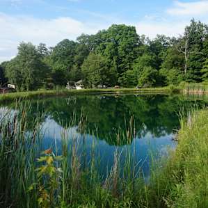 Hillside Pond with a View