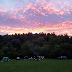 Pisgah Forest Mountain Meadows