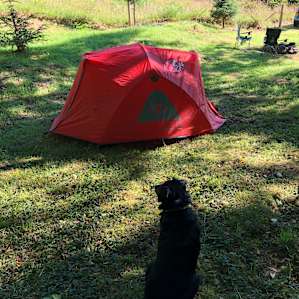 Powder Creek Campsites