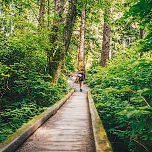forest hiking activity