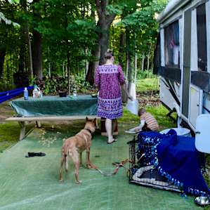 Shady, clean, and relaxing camp location.