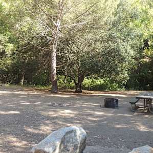 View of Site 18 (Largest Site) We fit 4 large tents no problem with plenty of space to spare