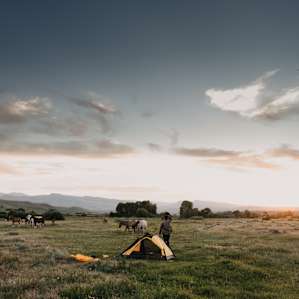 Setting up the tent in a field of horses.