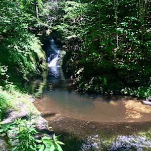 RV Camping at Moss Hill