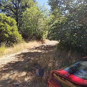It's hard to see, but the near car is at Logger's Camp and the far SUV is up at the road near the gate. So you have some privacy, but you're not in the wilderness.