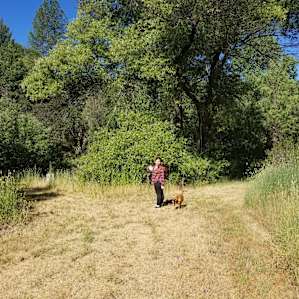 The two other areas/paths leading away from Logger's and towards the creek.