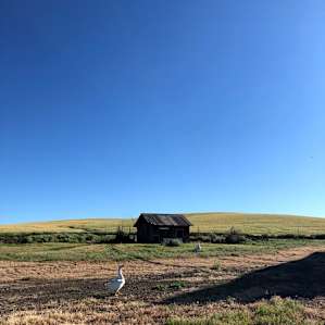Palouse Stargazing CarCamp