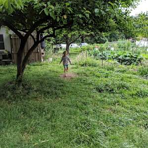 Farm, Forest, Happy People