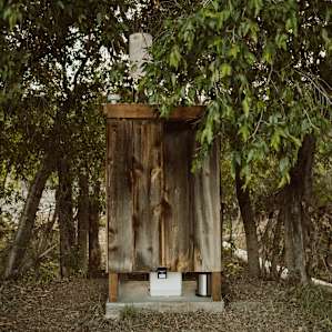 Toilet area hidden by trees.