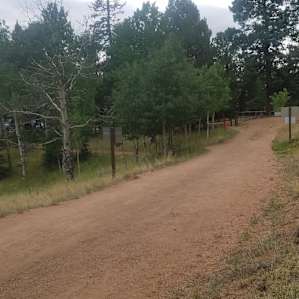 Walk to site 100 to car lot. Probably not even 1/4 mile