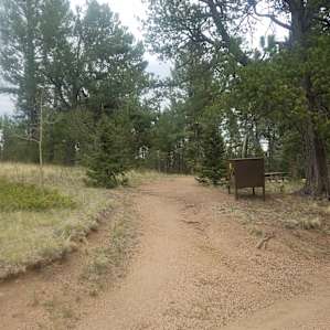 Huge site, little tree coverage