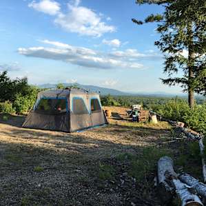 Sacred Nectar Sanctuary