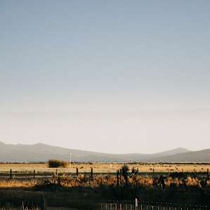 Farm land across from the ranch.