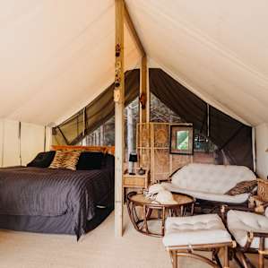 A view inside the Safari Tent!