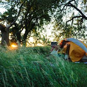 Camp near Food Forest & Tiny Houses