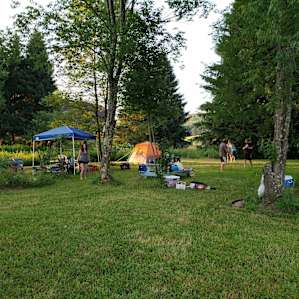 A good view to see how spacious our site was.