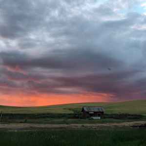 Palouse Stargazing CarCamp