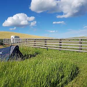 Palouse Stargazing CarCamp