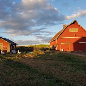 Palouse Stargazing CarCamp