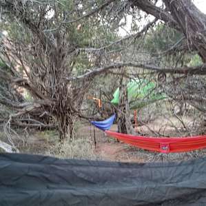 Tentsile - The Tree-House Tent
