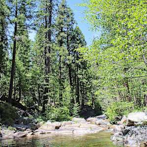 This beach area is about 2 minutes away from the campsites on the way to Onion Valley.