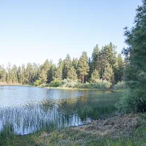 Delintment Lake Campground