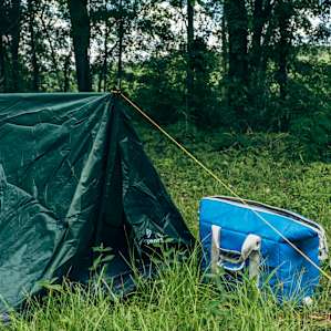 The tent set up is simple primitive camping, with a few different choices around the property.