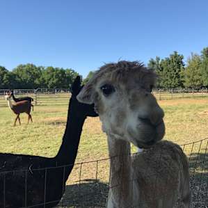 Sterling Creek Ranch