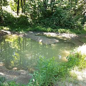 Fresh, groundwater spring. This area is pretty magical.