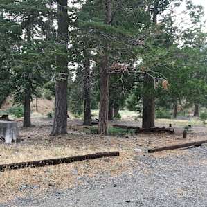 Lupine Campground