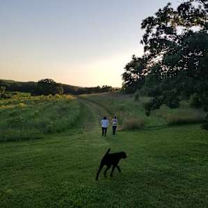 The best part of this camp? Well behaved dogs can be off leash!!!!