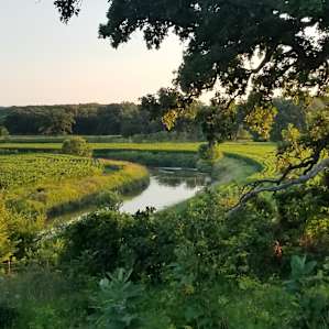 River Bottom Views