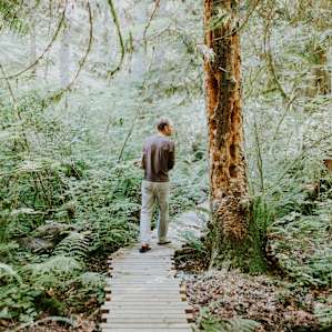 forest hiking activity