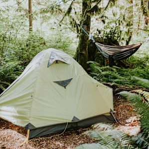tent forest hammock