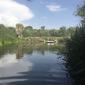 The pond fed by a natural spring stays cool no matter how hot the weather.