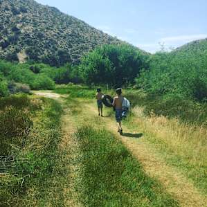 On the way to the pond.