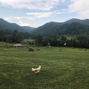 Far Flung Farm