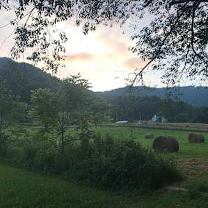 Far Flung Farm