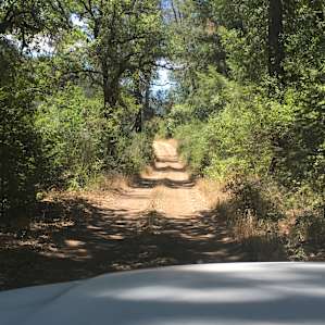 The road to upper falls in July