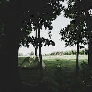 Camping where forest meets field.