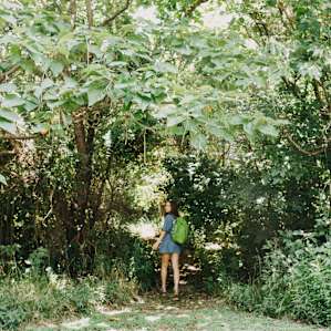 Let's go explorin'