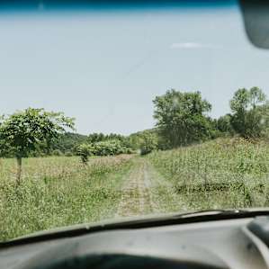 On the drive in