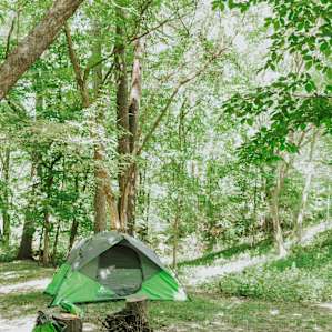 tent forest lodging