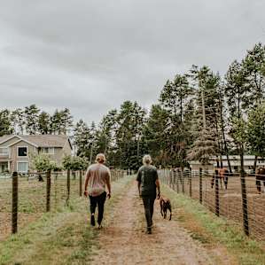 dog horse farm