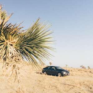 Good for van/car camping.