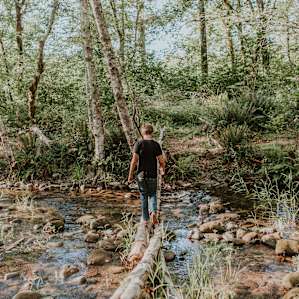 forest water