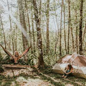 tent forest people